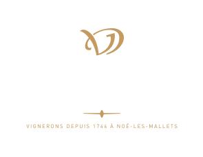 champagne veuve doussot